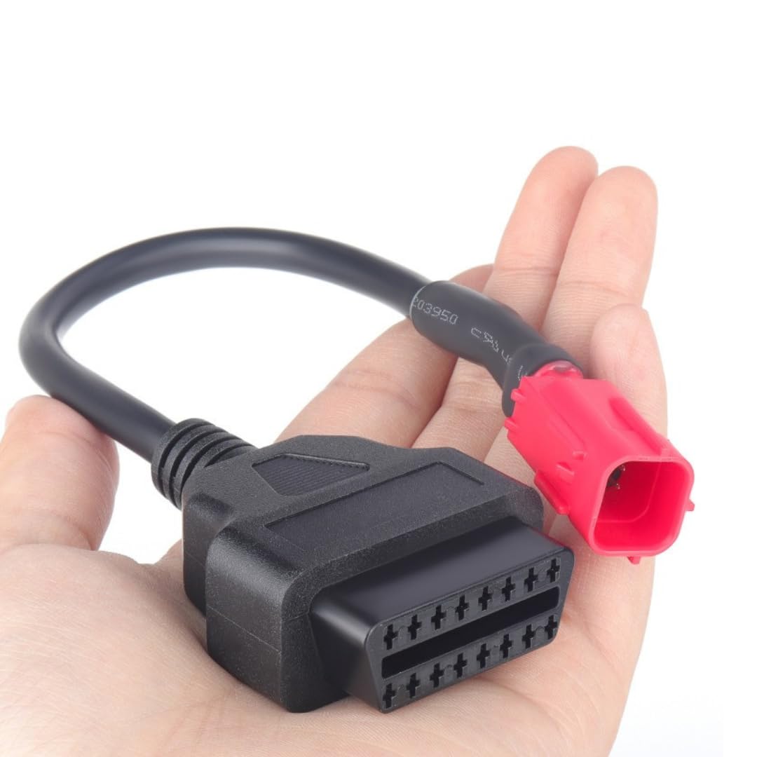 51EcQR36WwL._SL1080_.jpg